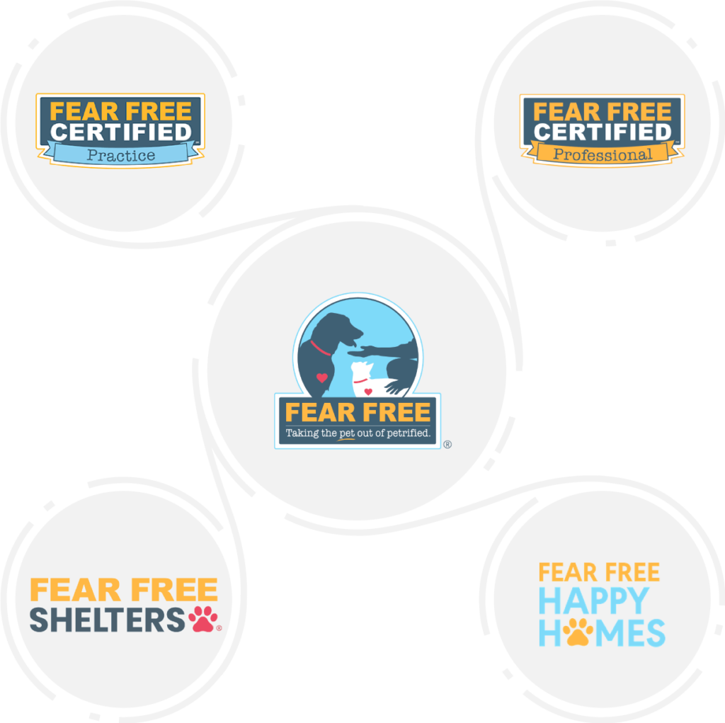 Fear store free certification